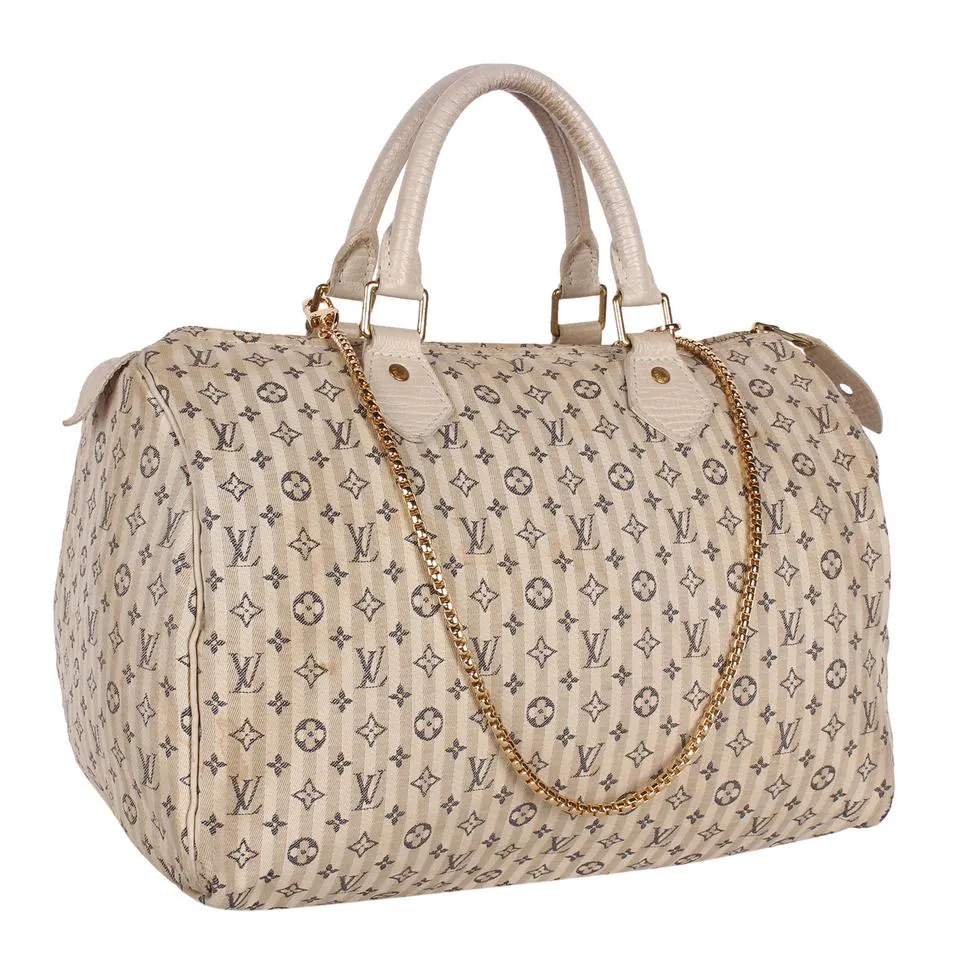 Monogram Mini Lin Speedy 30